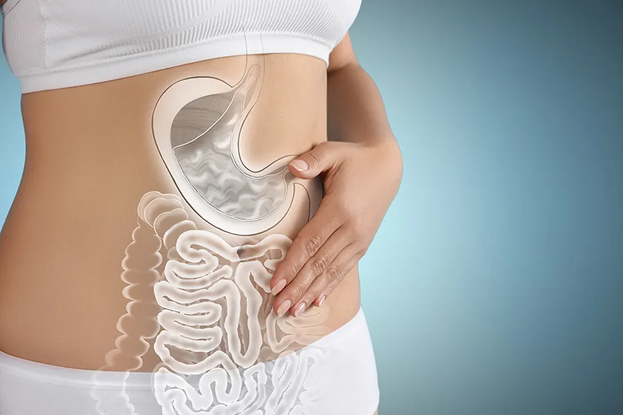 Gut-Health-Doctor Close up of the midriff of a woman with white underwear and an illustration of the digestive system superimposed over the image. Get help for digestive issues and gut health from Stephen Beyer, DC in Mokena.